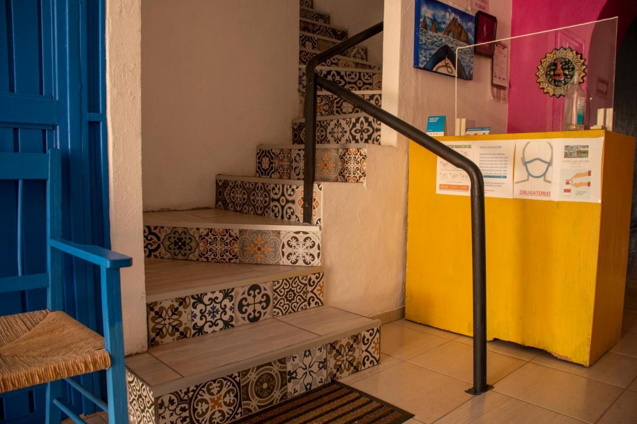 Hotel Casa Ceci Inn San Jose del Cabo Bagian luar foto